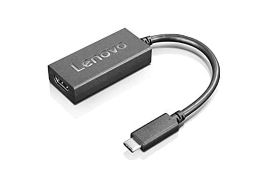 Lenovo 4X90R61022 Adapter Video Kabel 0,24 m USB C...