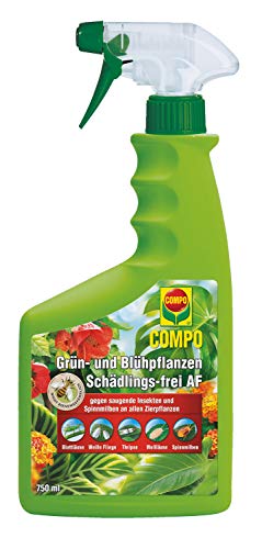 COMPO Grün- und Blühpflanzen Schädlings-frei...