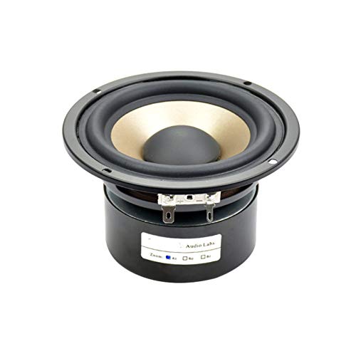 WNJ-TOOL, 1 stück 4inch 30w Audio tragbarer...