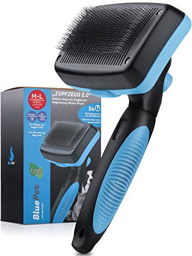 BluePet® Hundebürste & Katzenbürste für...