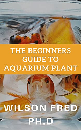 The Beginners Guide To Aquarium Plant: Setting Up...