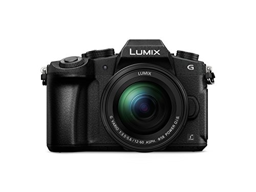 Panasonic Lumix DMC-G81MEG-K Systemkamera (16 MP,...