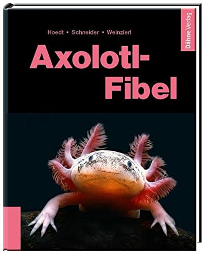 Axolotl-Fibel: Ein Exot erobert unsere Aquarien