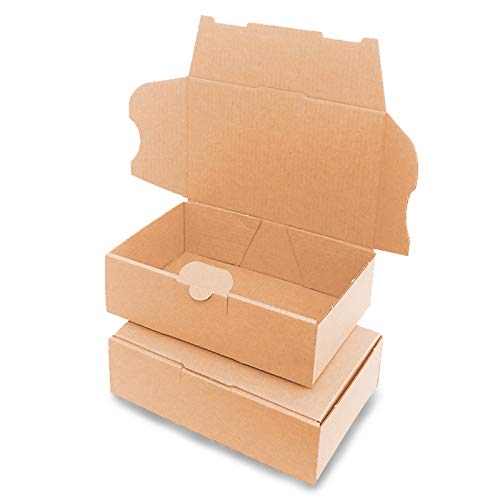 50 Maxibriefkartons 160x110x50mm Braun Versand...