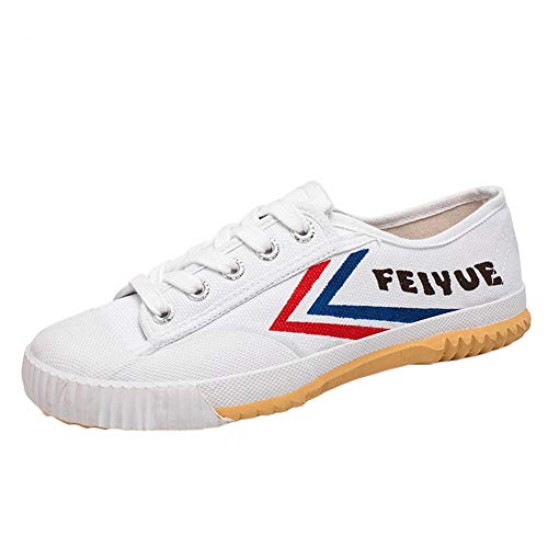 LMMZ Martial Arts Schuhe, Unisex...