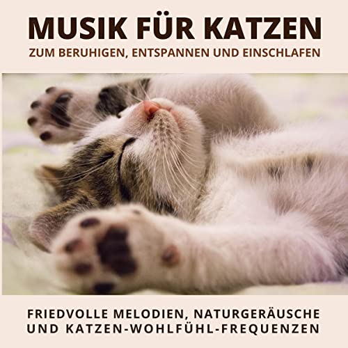 Musik für Katzen zum Beruhigen, Entspannen und...