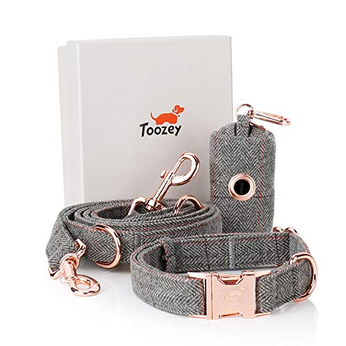 Toozey Hundeleine (2m) + Hundehalsband +...