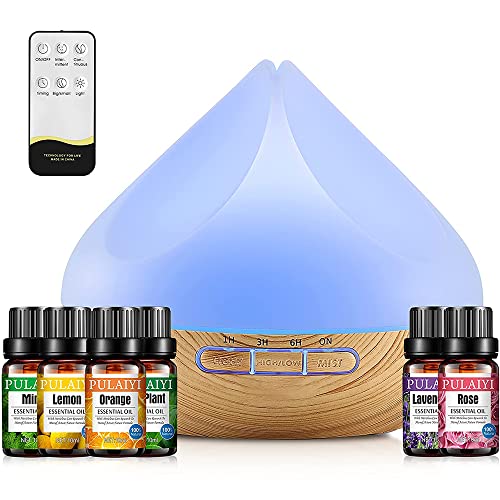 500ML Aroma Diffuser, Diffuser mit 6x10ml Diffuser...