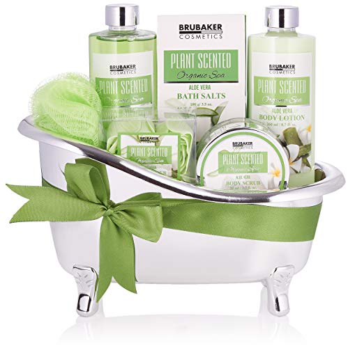 BRUBAKER Cosmetics Bade- und Dusch Set Aloe Vera -...