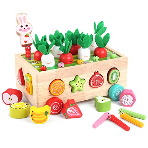 Montessori Spielzeug 2 Jahre | Holzspielzeug 2...