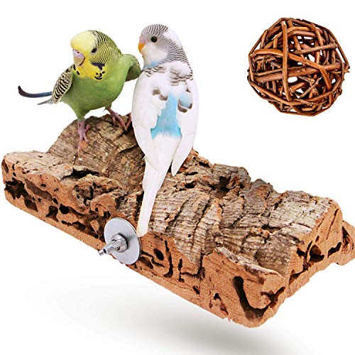 Vogelgaleria Premium Korksitzbrett für Vögel wie...