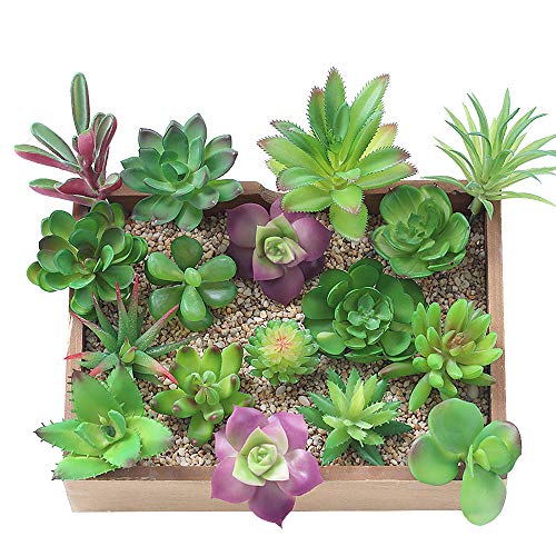 KUUQA 16 Pcs Sukkulenten Künstlich Gemischt...