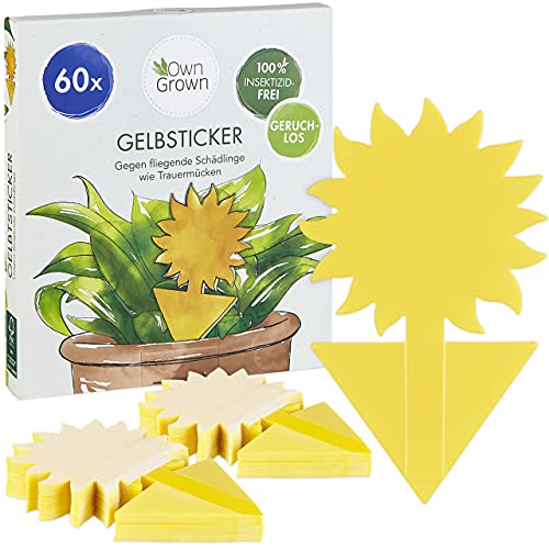 Gelbsticker Trauermücken: 60x Insektizidfreie...