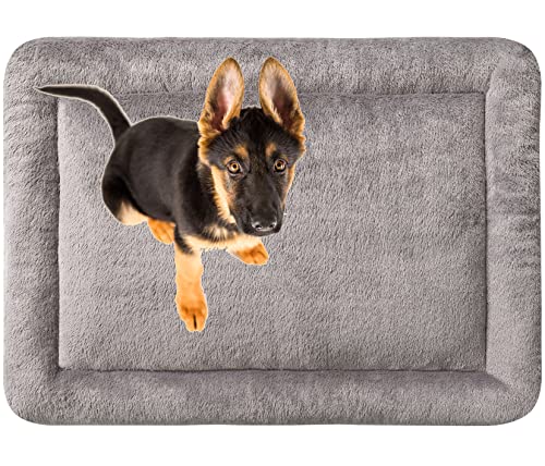 MyBestBuddy Hundekissen Komfort grau 80x60 cm L,...