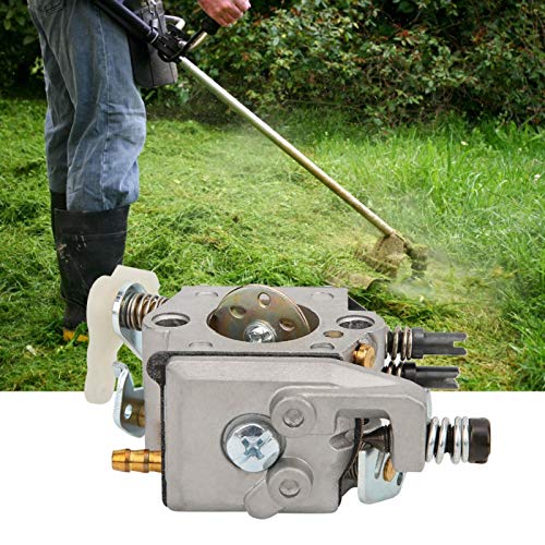 DAUERHAFT Anti-Aging-Vergaser-Kit Vergaser-Kit...