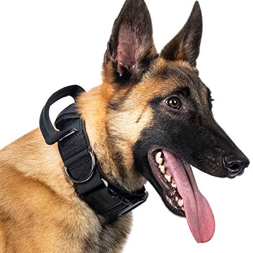 OneTigris Halsband mit Metallschnalle für Hunde...