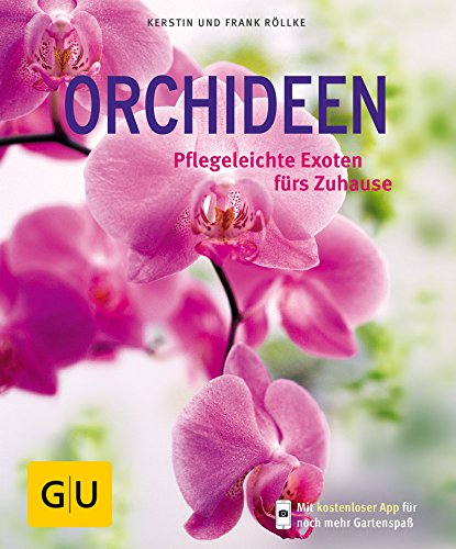 Orchideen: Pflegeleichte Exoten fürs Zuhause