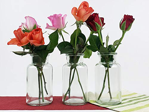 6 Stück Runde Typ 300 Mini Vasen Glasfläschchen...