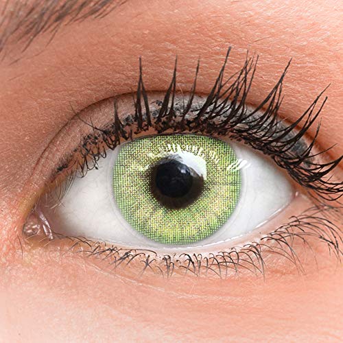 GLAMLENS Jasmine Light Green Grün + Behälter |...