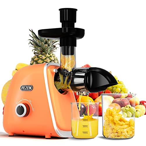 Entsafter Slow Juicer, Fezen Entsafter Gemüse Und...