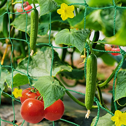 HUTHIM Ranknetz Rankhilfe Garten Tomaten Gurken...