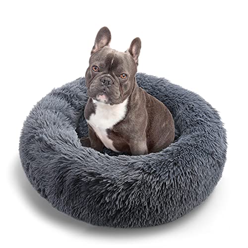 YOOFAN Waschbares Hundebett für Katzen und Kleine...