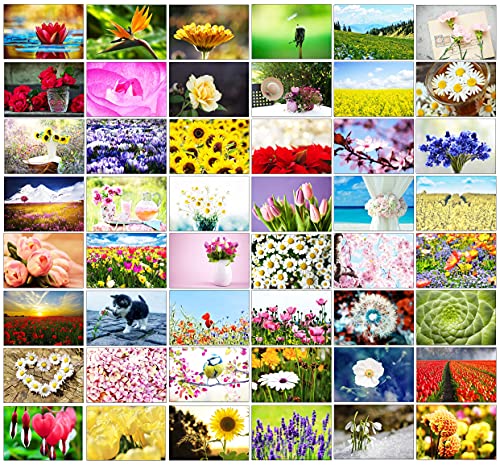 48 Blanko-Grußkarten mit Fotos im...