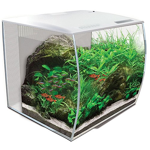 Fluval Flex Aquarium 57L, Süßwasser Aquarium,...